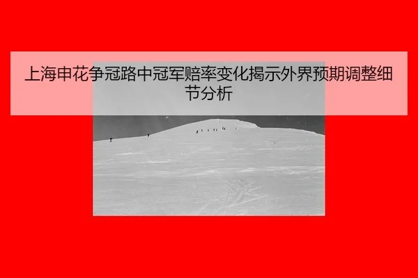上海申花争冠路中冠军赔率变化揭示外界预期调整细节分析